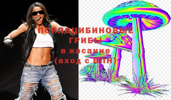 СК Снежногорск
